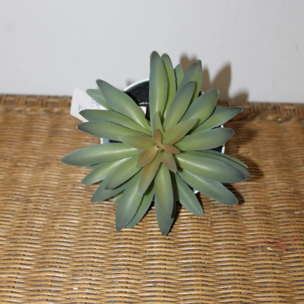 Williams Sonoma Artificial Potted Succulent (Rosette Style)